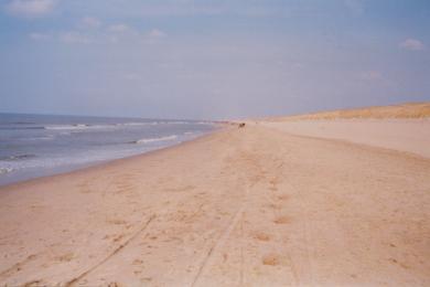 Sandee - Noordwijk Beach