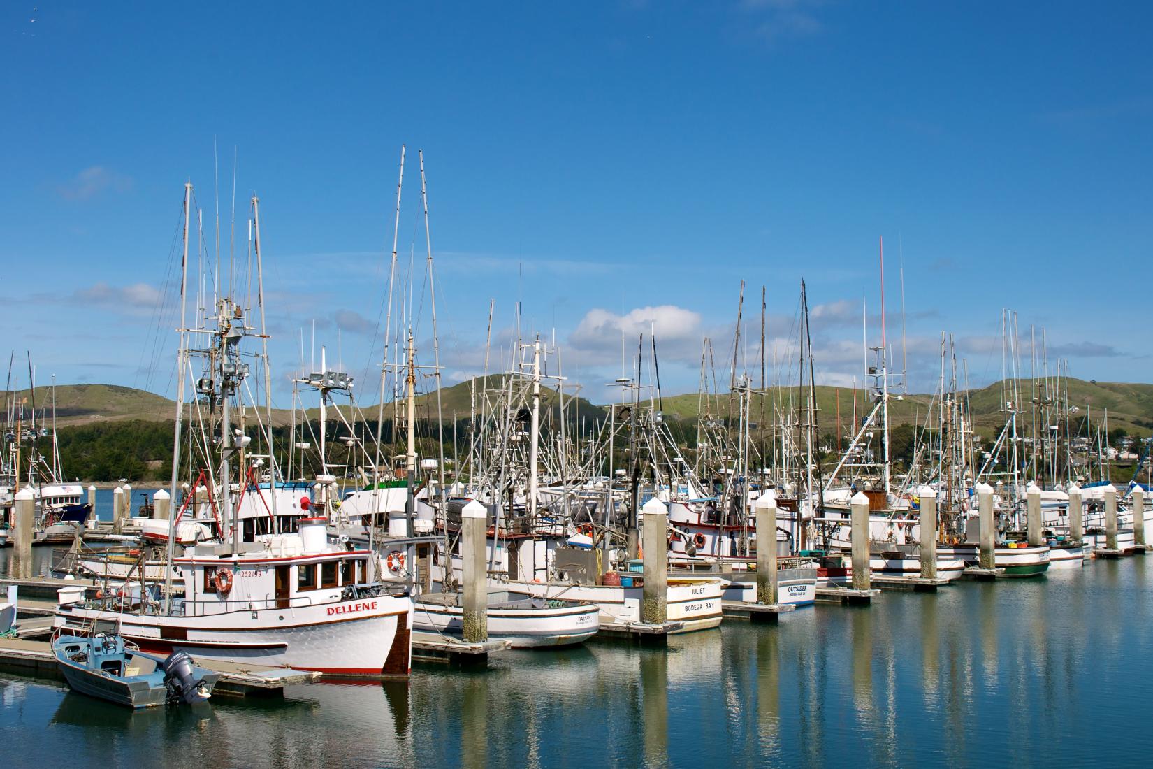 Sandee - Bodega Bay Harbor