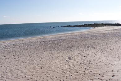 Sandee - Compo Beach