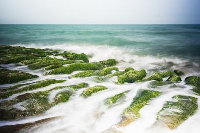 Sandee Laomei Green Reef Photo