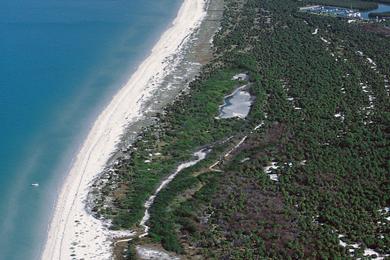 Sandee - Caladesi Island State Park Beach