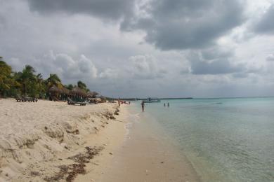 Sandee - Playa Palancar