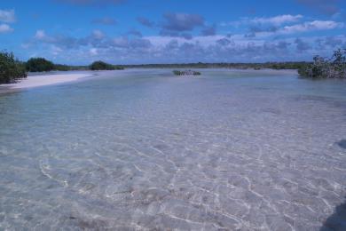 Sandee Ascension Bay Photo