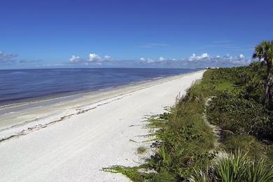Sandee - Barefoot Beach Preserve