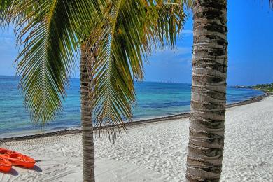 Sandee - Villa Del Palmar Beach Resort