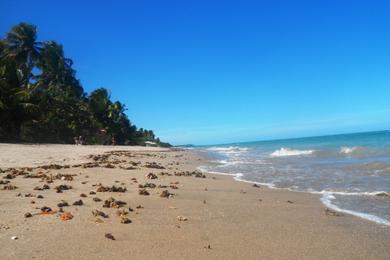 Sandee - Praia De Sao Miguel Dos Milagres - Rota Ecologica Dos Milagres