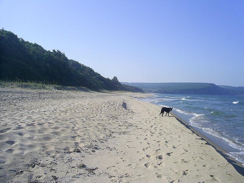 Sandee - Irakli Beach