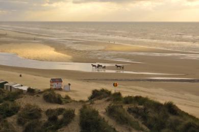Sandee - De Haan Beach