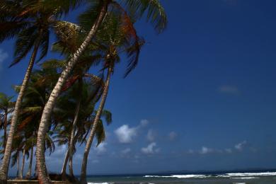 Sandee - Playa San Blas