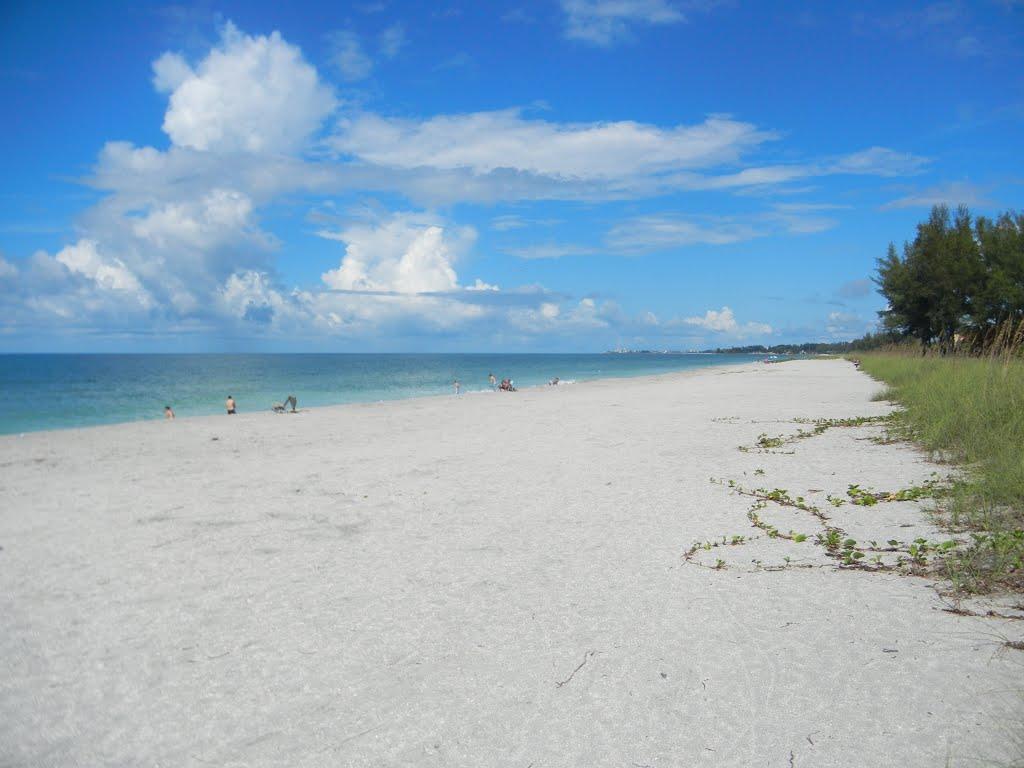 Sandee - Turtle Beach