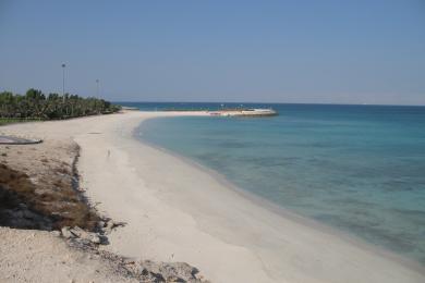 Sandee Coral Beach Photo
