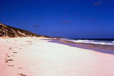 Sandee - Stocking Island Beach