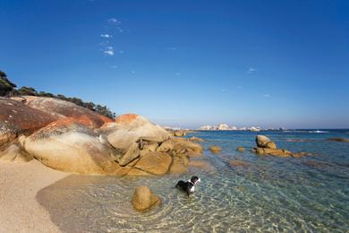 Sandee - Flinders Island Beaches