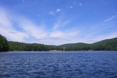 Sandee Lake Mcdonough Photo