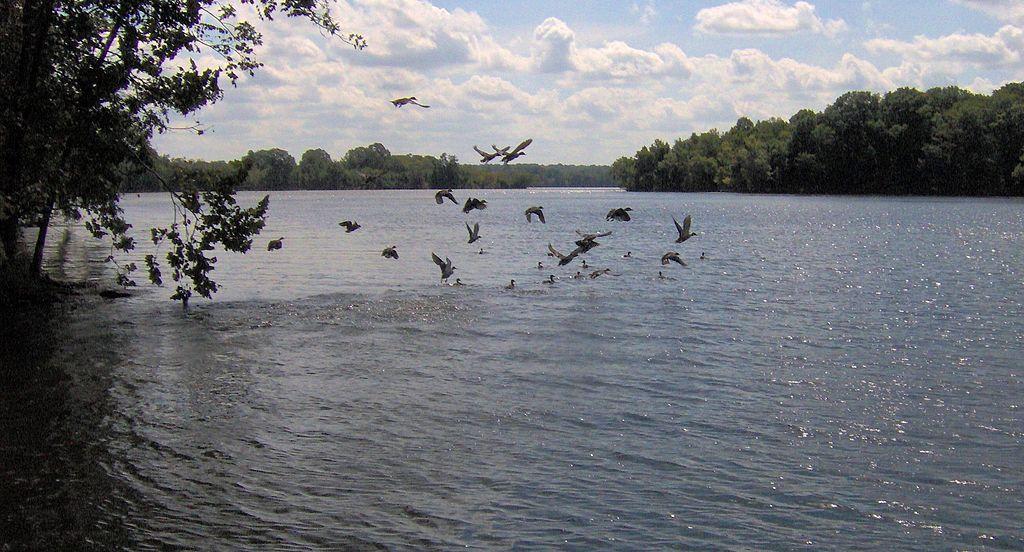 Sandee - Old Hickory Lake