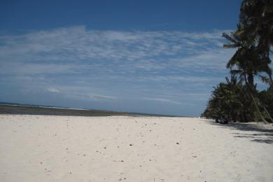 Sandee Tiwi Beach Photo