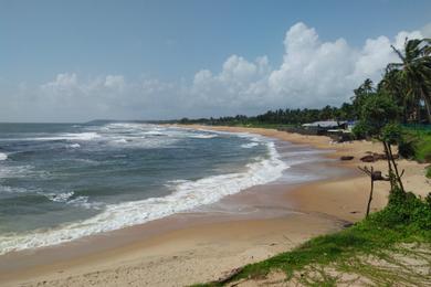Sandee Sinquerim Beach Photo