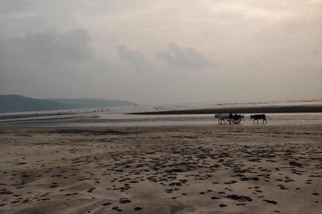 Sandee Ladghar Beach Photo