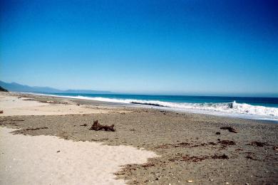 Sandee - Haast Beach