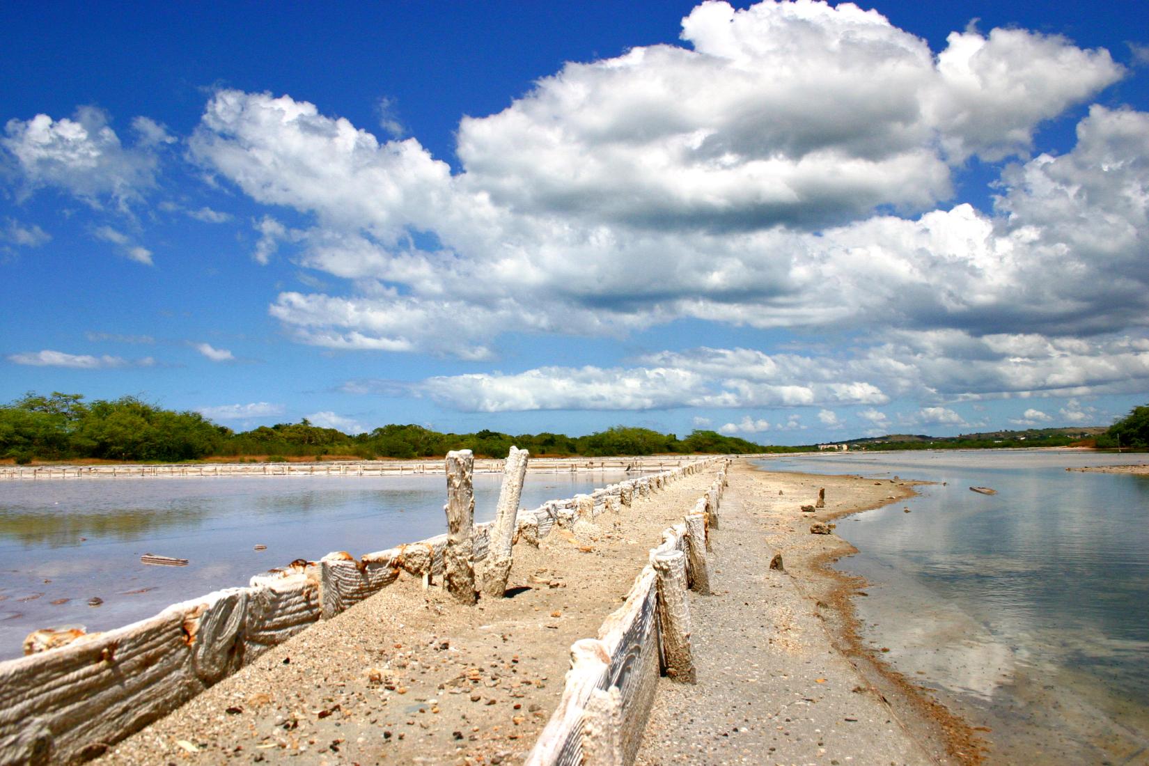 Sandee - Cabo Rojo National Wildlife Refuge