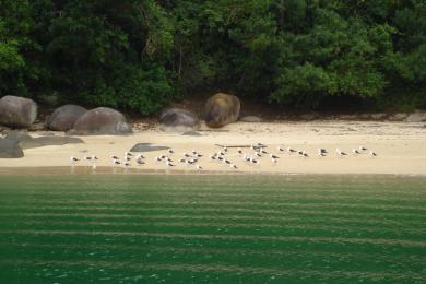Sandee Ilha Do Pelado Beach Photo