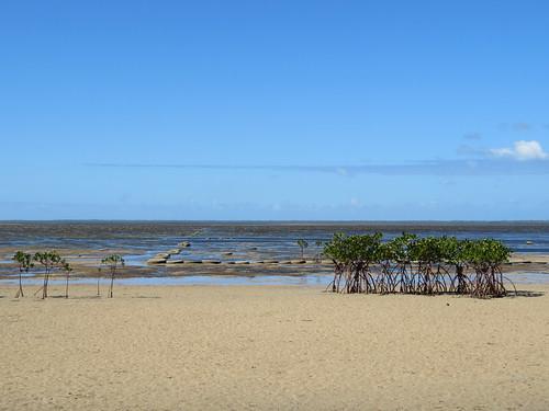 Sandee Kanokupolu Beach Photo