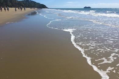 Sandee - Douglas Bay Beach