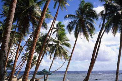 Sandee Namale Resort Beach Photo