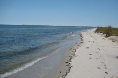 Sandee - Breezy Point Beach And Campground