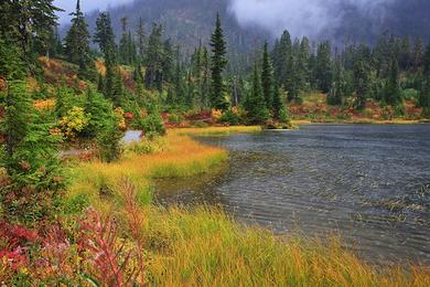 Sandee - Lake Cascade State Park