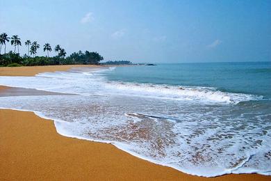 Sandee Negombo Beach Photo