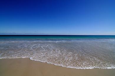 Sandee South Fremantle Dog Beach Photo