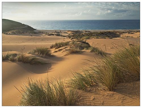 Sandee - Sand Dunes