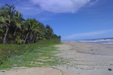 Sandee Pazhayangadi Beach 1 Photo
