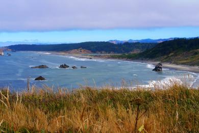 Sandee - Cape Blanco State Park - Sixes River Beach