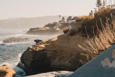 Sandee Best California Surf Spots 