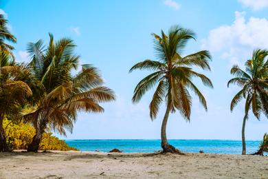 Sandee Cleanest Beaches in Belize