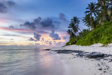 Sandee Best Pink Sand Beaches in French Polynesia