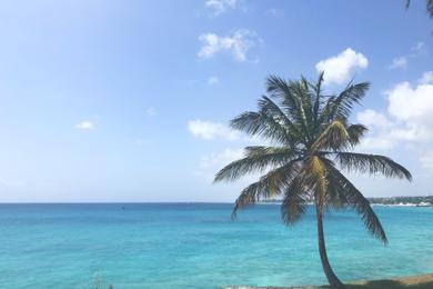 Sandee Cleanest Beaches in Barbados