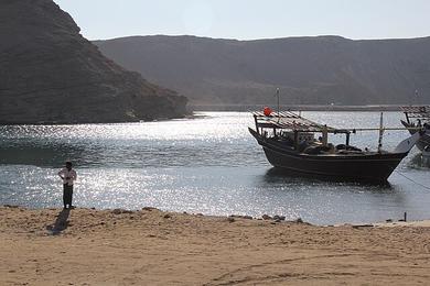 Sandee Bioluminescent Beaches in Oman