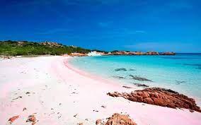 Sandee Best Pink Sand Beaches in Azerbaijan