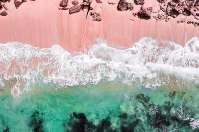 Sandee Best Pink Sand Beaches in Bermuda