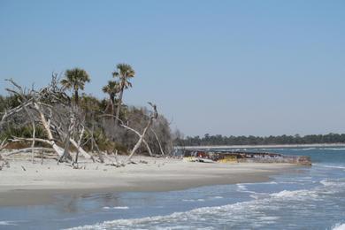 Sandee Capers Island - North End Photo