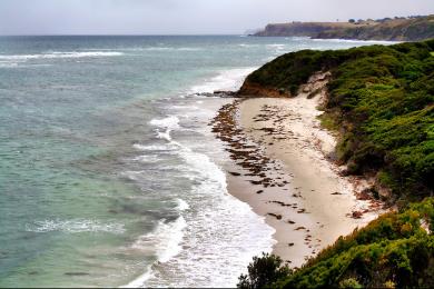 Sandee Flinders Beach Photo