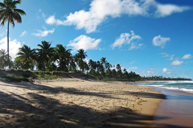 Sandee - Forte Beach