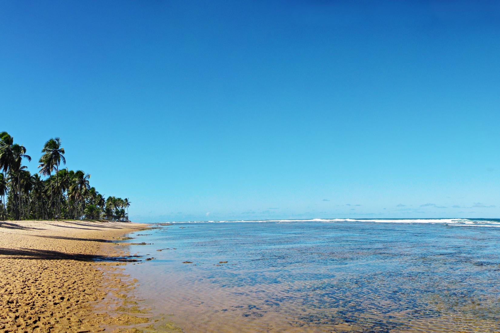 Sandee - Forte Beach