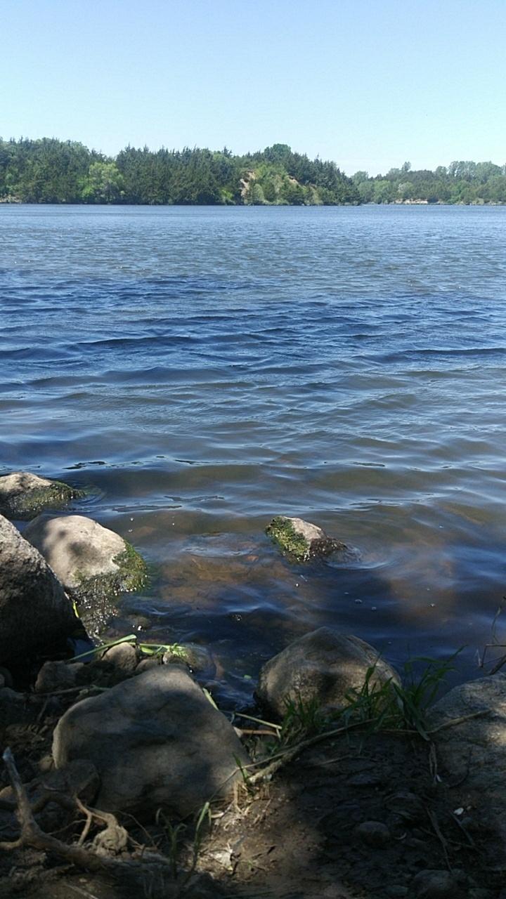 Sandee Lake Alvin State Recreation Area Photo