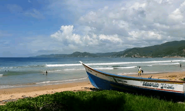 Sandee - Playa Arriba Los Cocos