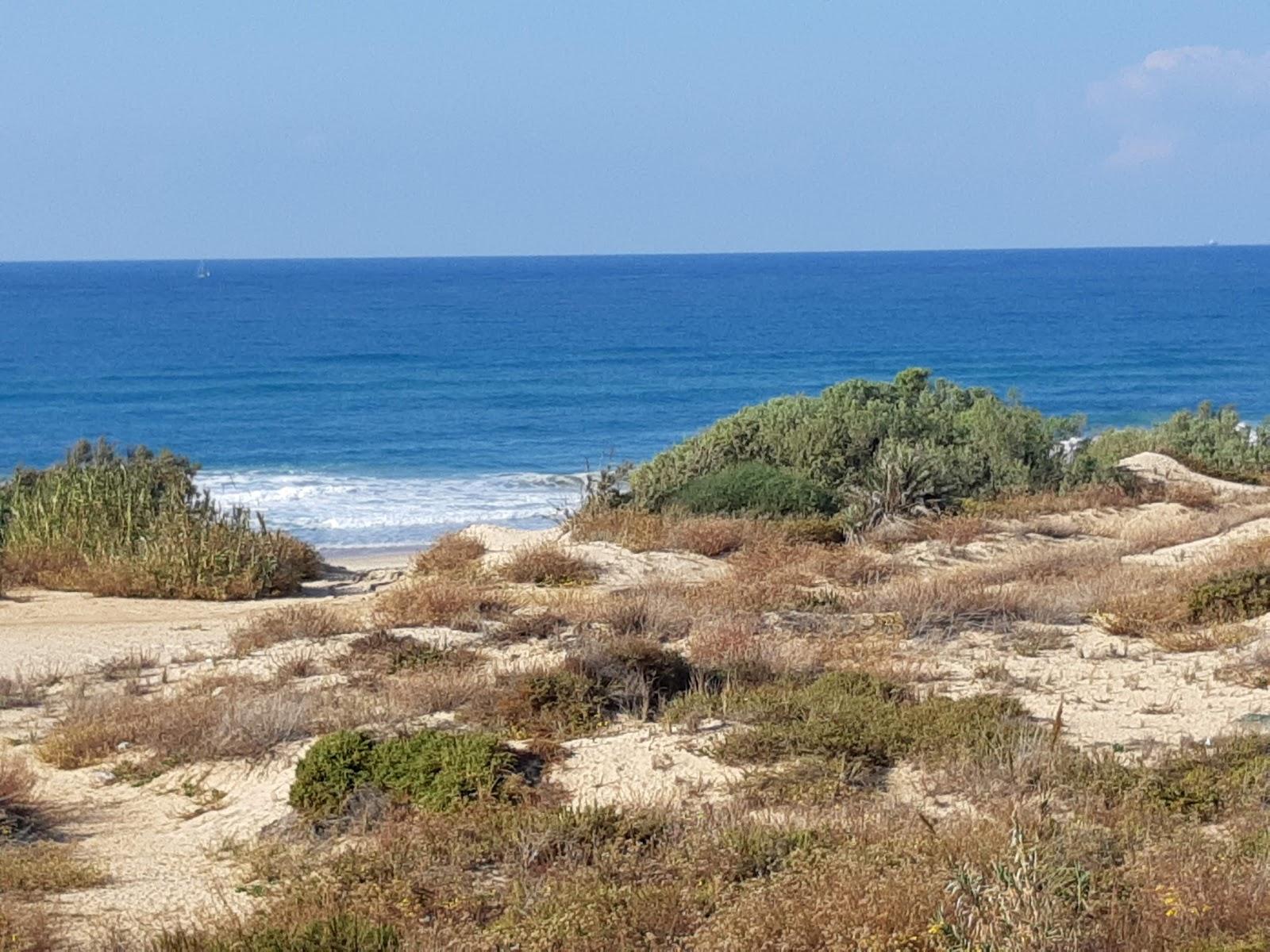 Sandee Hofit Beach In Ashkelon Photo