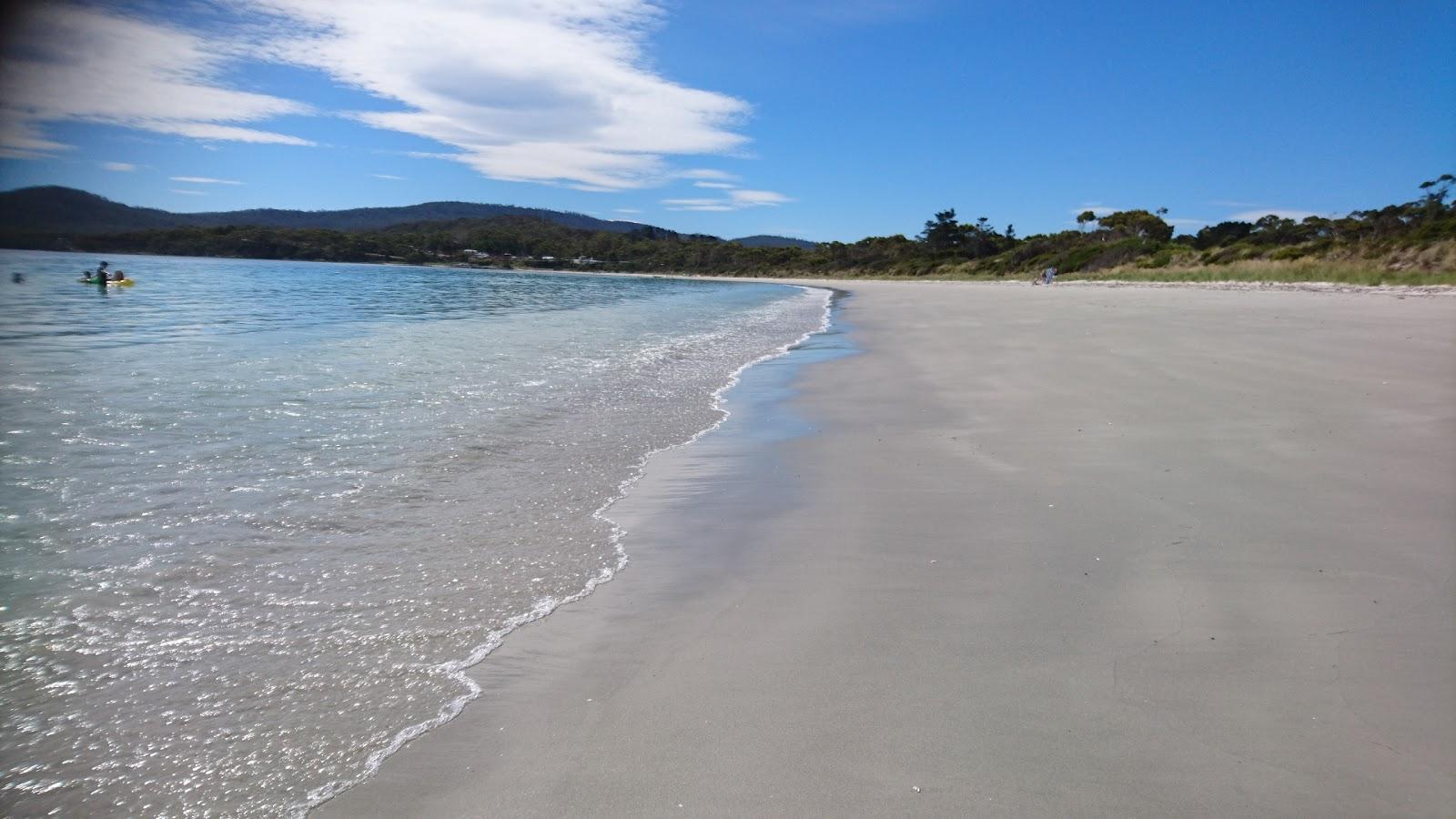 Sandee White Beach, Tasmania Photo